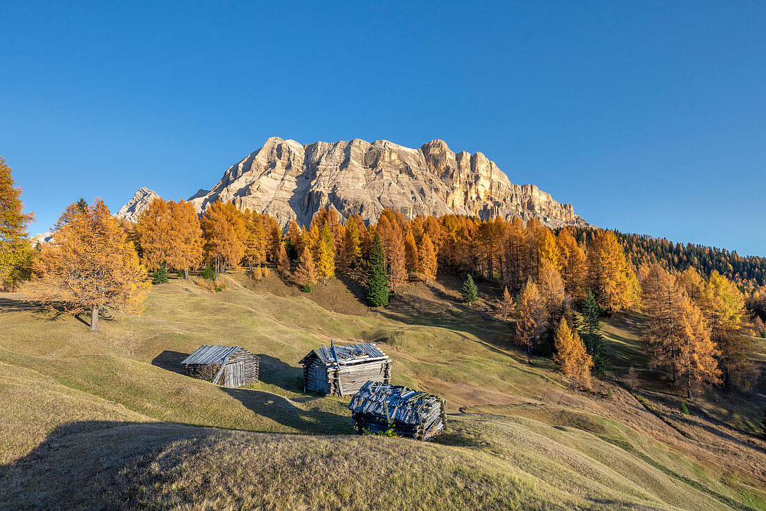 Alta Badia, Provinz Bozen, Südtirol, Italien, Europa. Herbst auf den Armentara-Wiesen oberhalb der Berge Neuner, Zehner und Heiligkreuzkofel