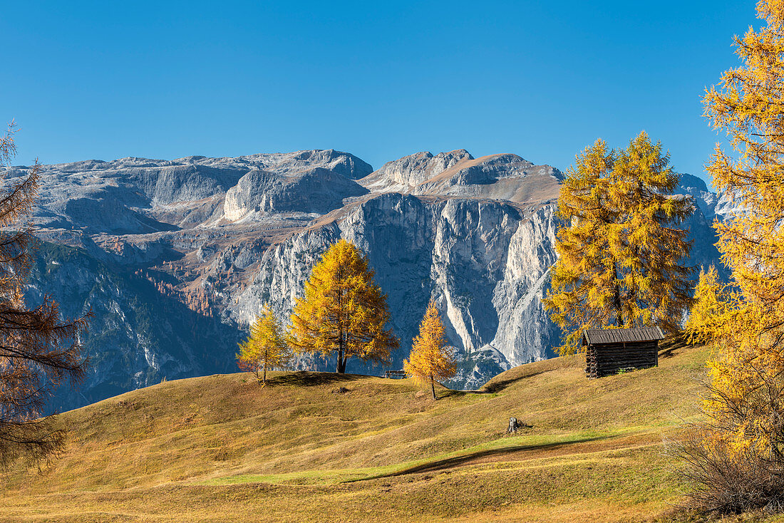 Alta Badia, Provinz Bozen, Südtirol, Italien, Europa. Herbst auf den Armentara-Wiesen, über den Moantains des Puez