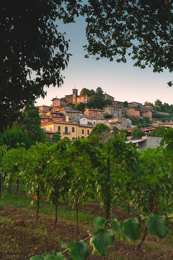 Weingut Corte de Lantieri, Provinz Brescia, Distrikt Lombardei, Italien Europa