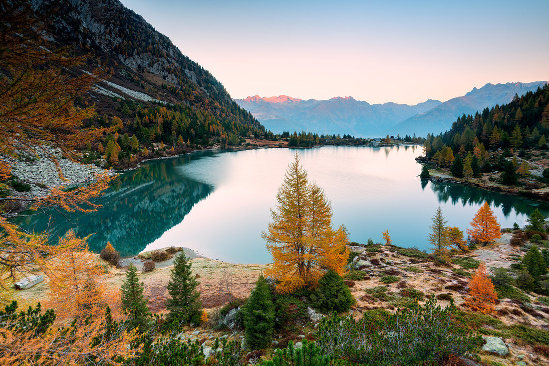 Autumn season in Aviolo lake in Adamello park, Lombardy district, Brescia province, Italy, Europe