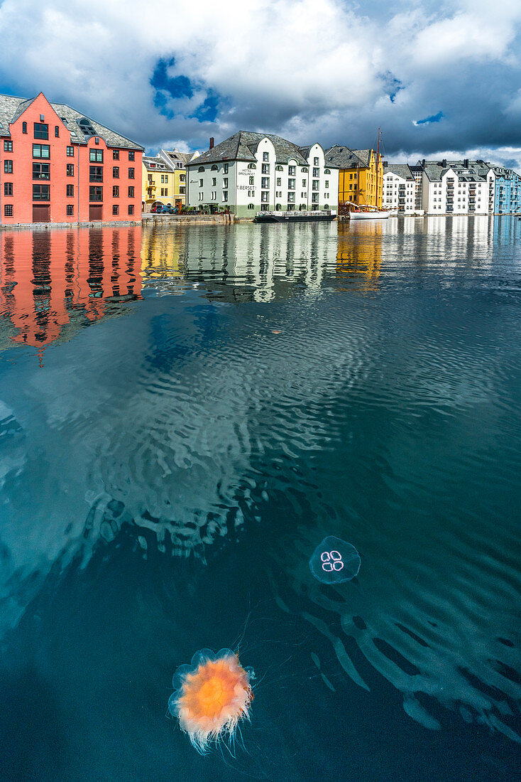 Jellyfish in Brosundet canal surrounded by Art Nouveau styled houses, Alesund, More og Romsdal county, Norway