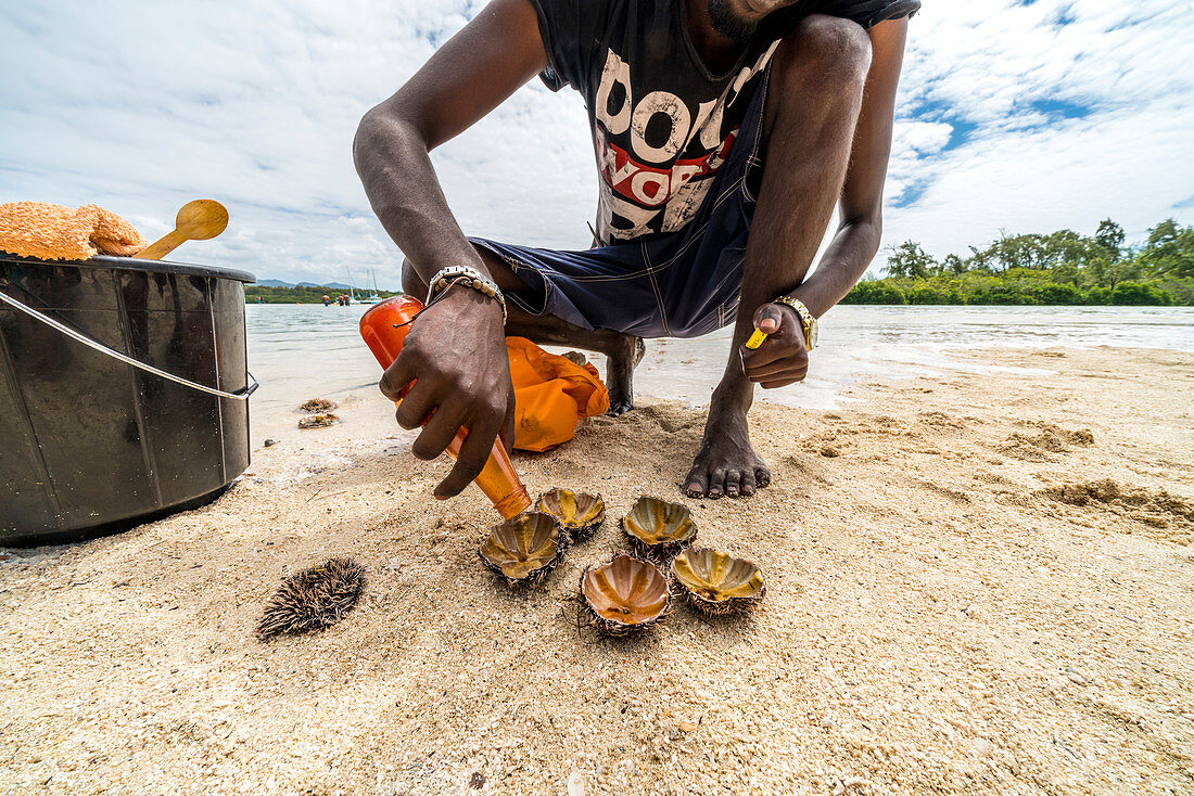 Mann, der Wasser über Seeigel gießt, um es vor dem Essen zu reinigen, Indischer Ozean, Ostküste, Mauritius
