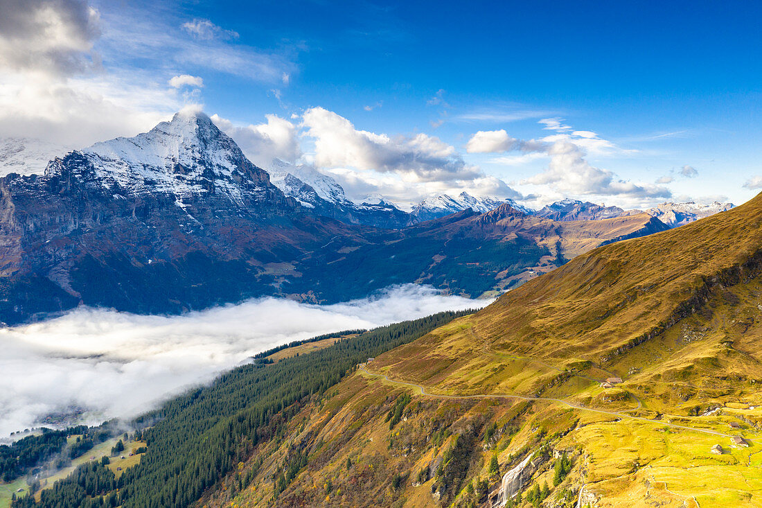 Herbstfarben in der Alpenlandschaft mit Berg Eiger im Hintergrund gesehen von First, Grindelwald, Kanton Bern, Schweiz