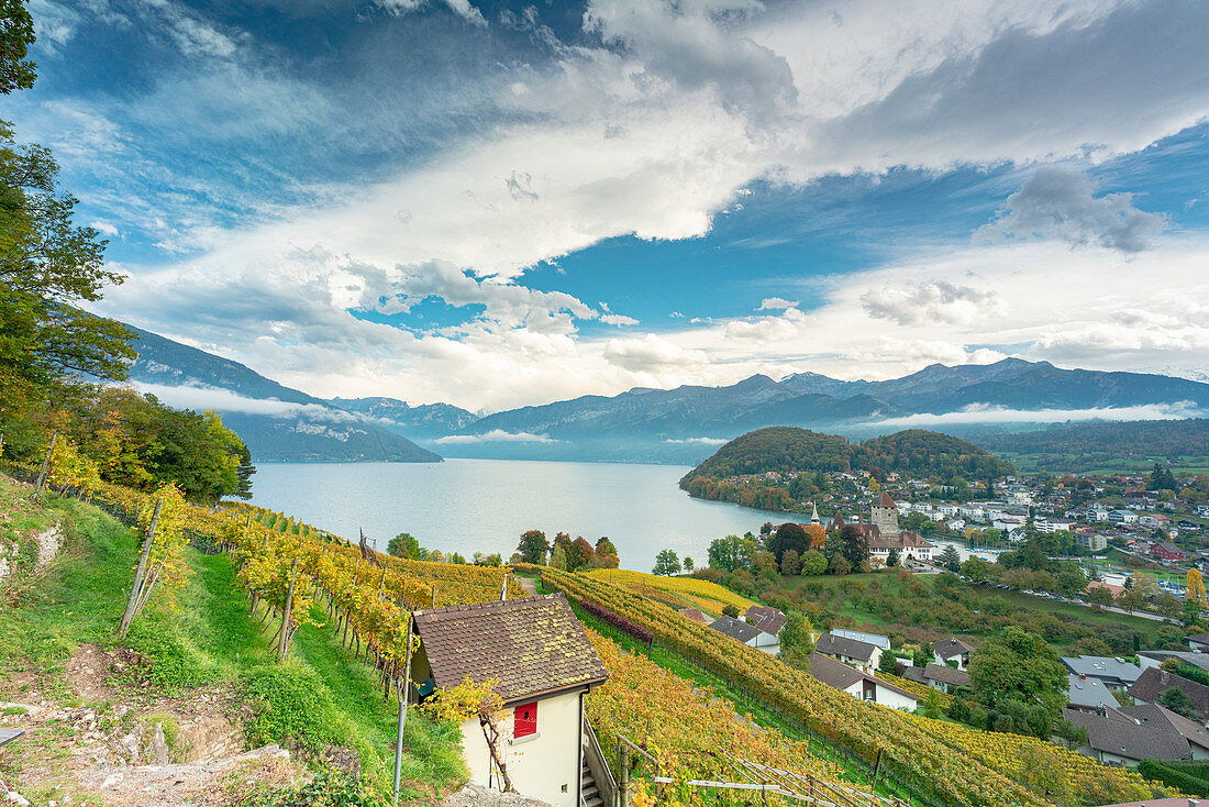 Clouds over vineyards surrounding lake Thun, Spiez, canton of Bern, Switzerland