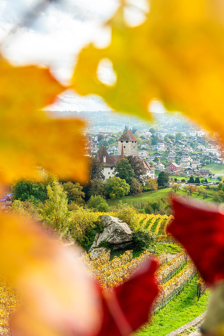 Schloss Spiez, umrahmt von Weinblättern im Herbst, Kanton Bern, Schweiz