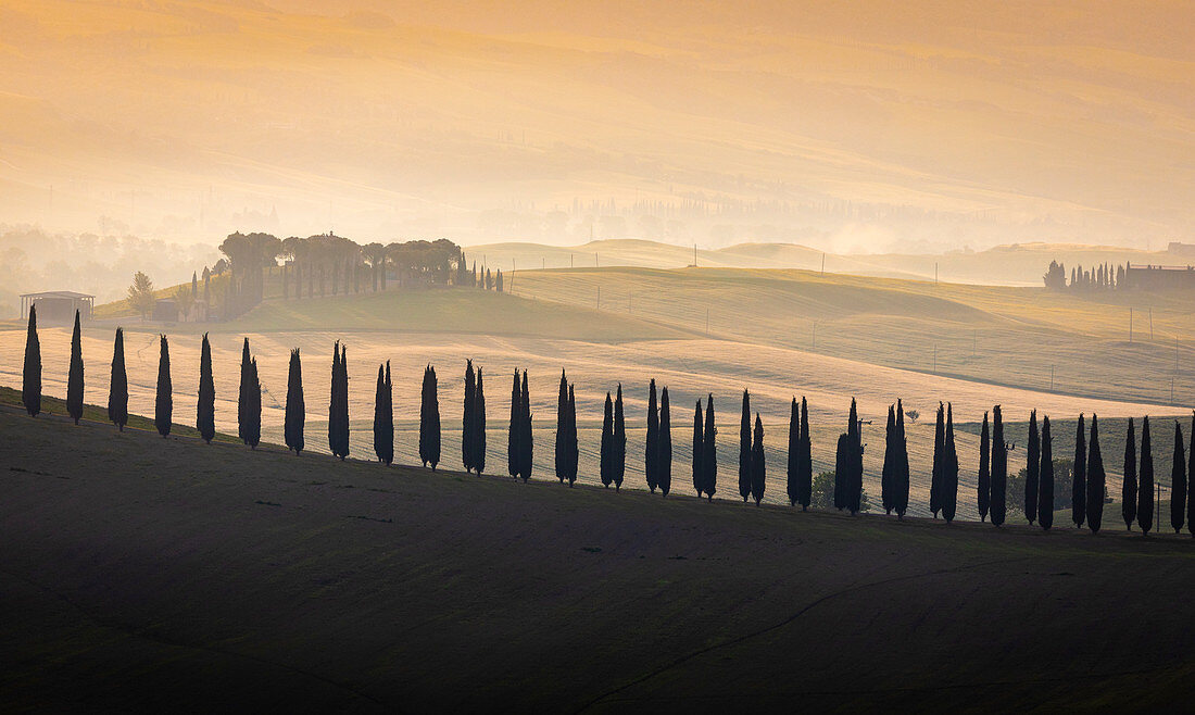 Am frühen Morgen zwischen den Hügeln des Val d'Orcia. Pienza, Val d'Orcia, Provinz Siena, Toskana, Italien.