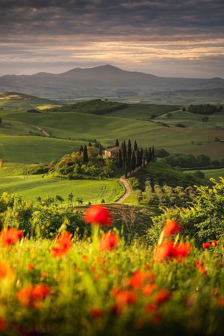 A farmhouse in the  morning between Val d'Orcia Hills. San Quirico d'Orcia, Val d'Orcia, Siena Province, Tuscany, Italy.