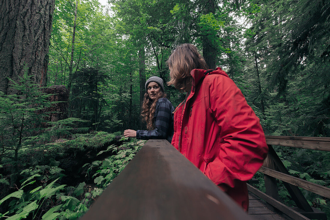 Friends relaxing in forest,Cathedral Grove,British Columbia,Canada