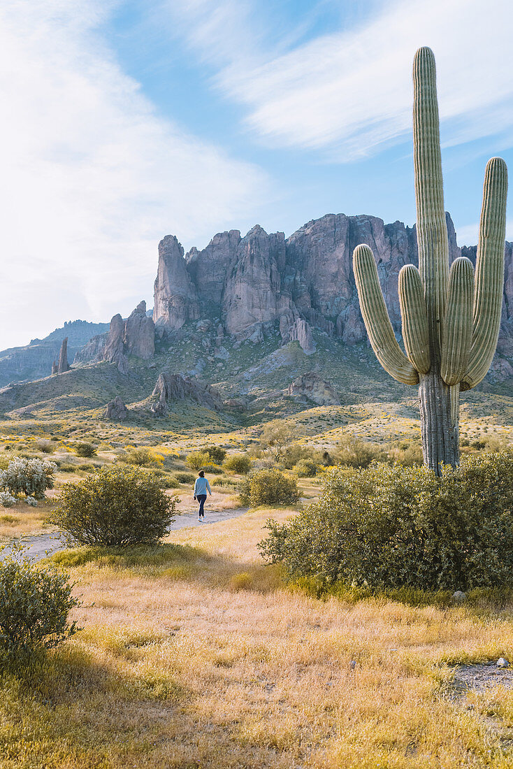 Frau zu Fuß, die Superstition Mountains im Hintergrund, Arizona, Vereinigte Staaten