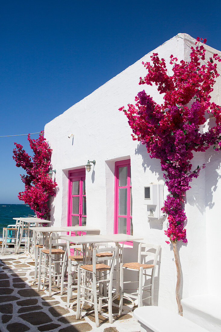 Restaurant, Alter Hafen von Naoussa, Insel Paros, Kykladengruppe, Griechische Inseln, Griechenland, Europa