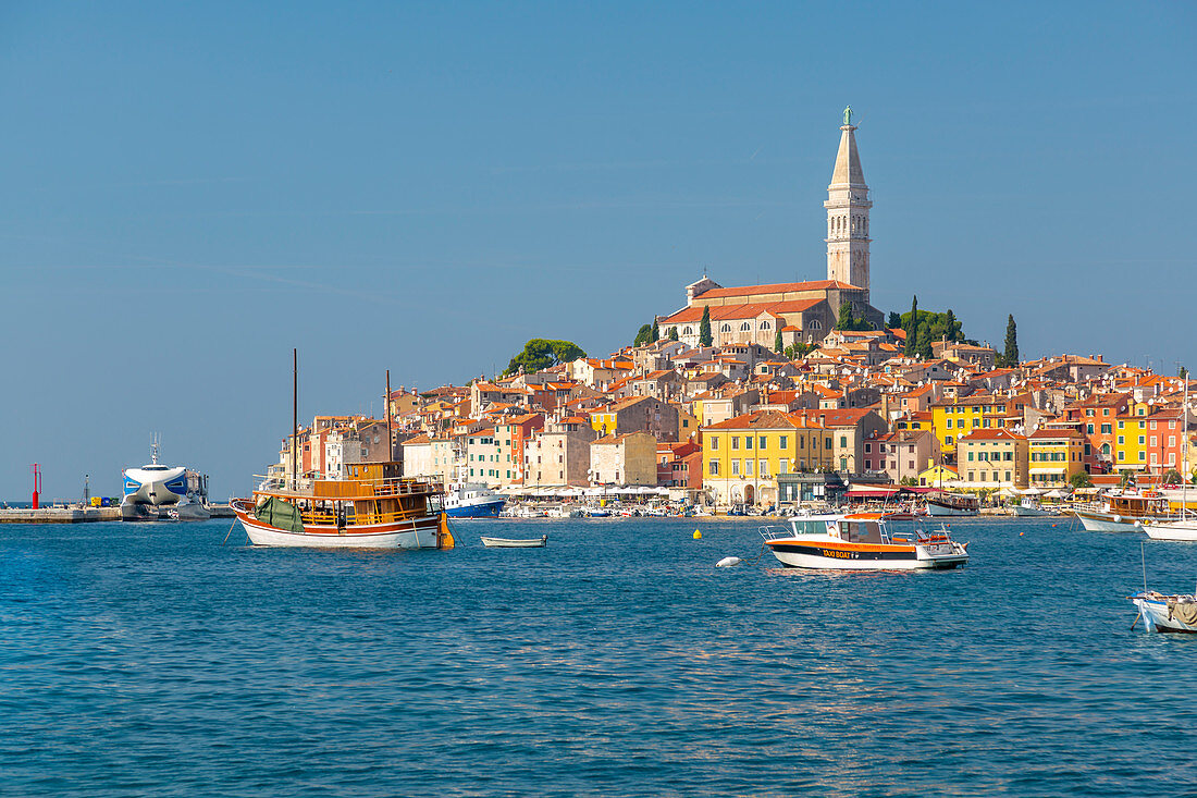 Blick auf den Hafen und die Altstadt mit der Kathedrale St. Euphemia, Rovinj, Istrien, Kroatien, Adria, Europa