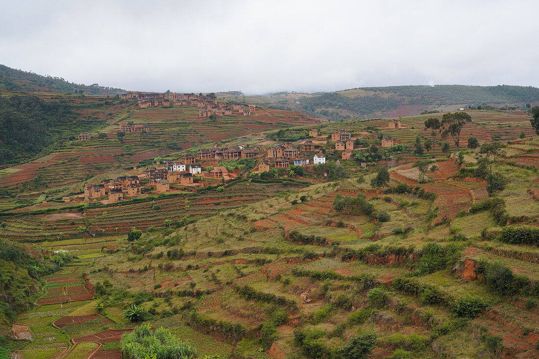 Schlammhäuser im Dorf auf Terrassenfeldern, Antsirabe, Zentrales Madagaskar, Afrika