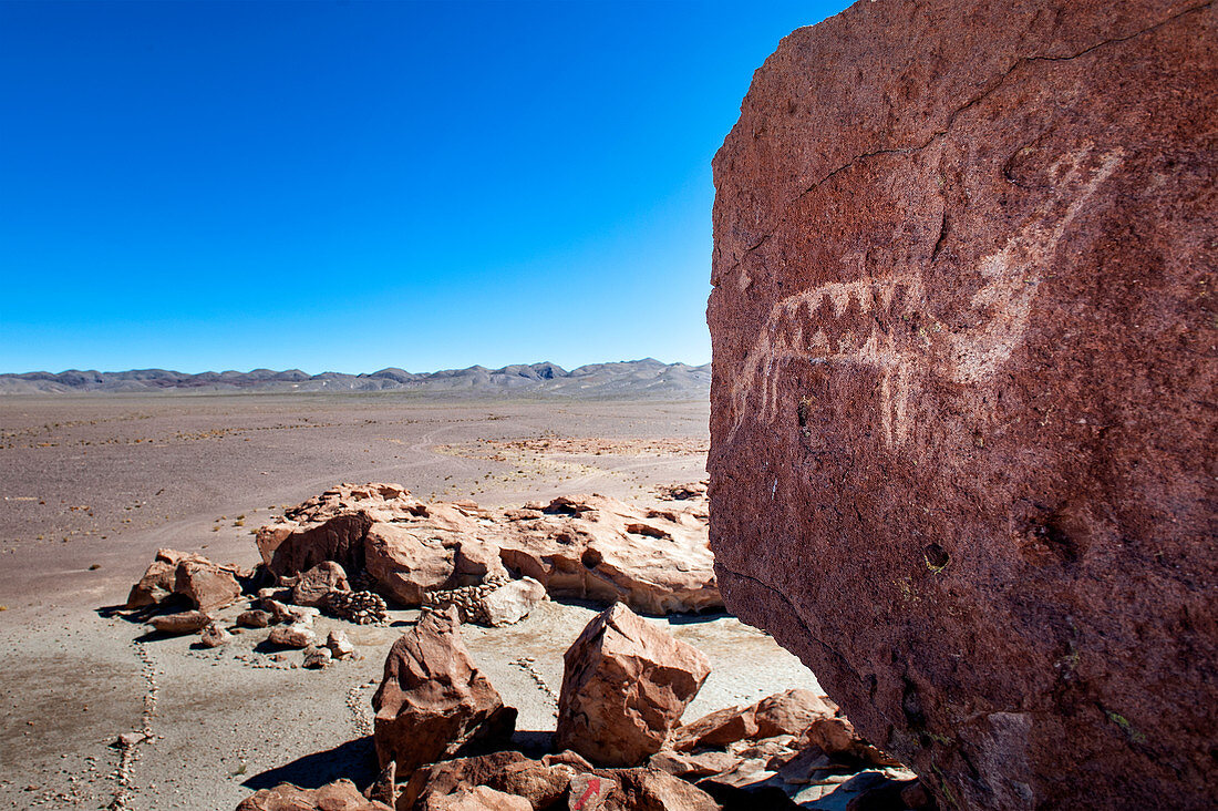 Felsmalerei in der Atacama-Wüste, Chile, Südamerika