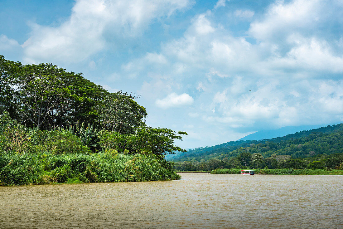 Tarcoles River, Carara-Nationalpark, Provinz Puntarenas, Costa Rica, Mittelamerika