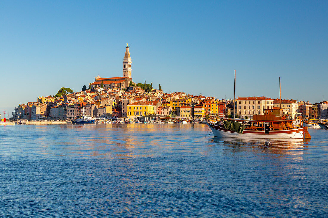 View of harbour and the old town with the Cathedral of St. Euphemia, Rovinj, Istria, Croatia, Adriatic, Europe