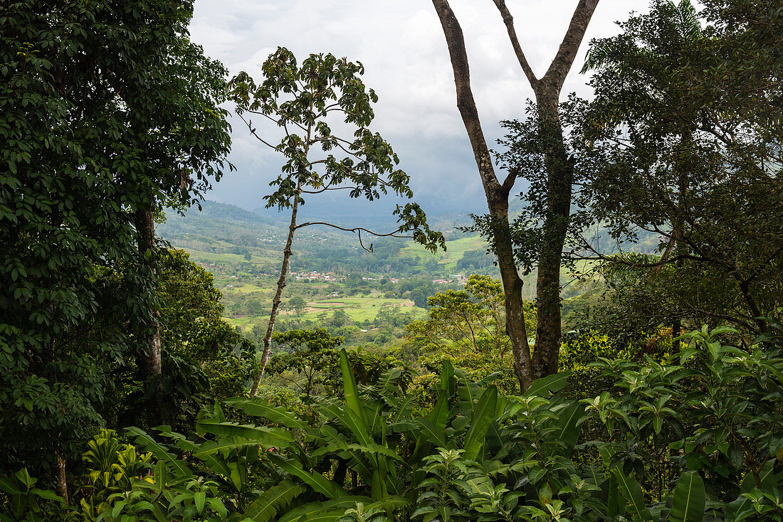 Turrialba, Cartago Province, Costa Rica, Central America