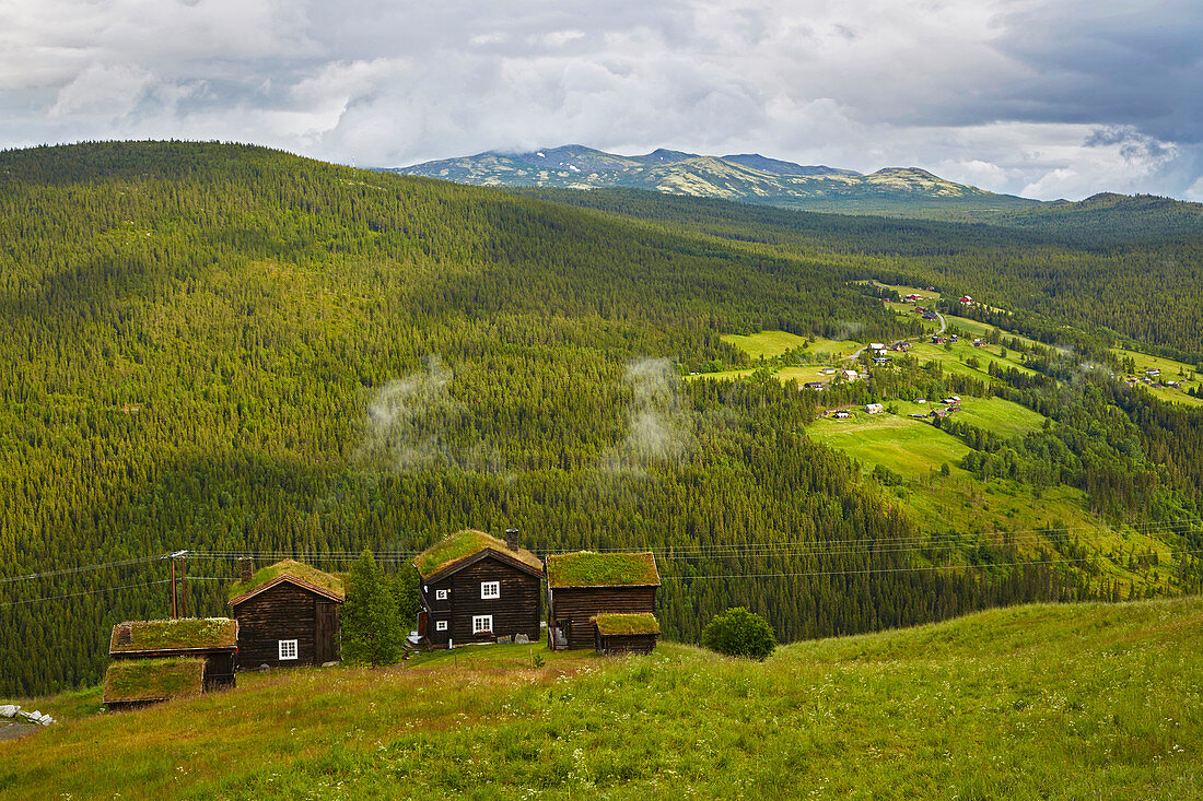 Traditionelles Gehöft in Myreng oberhalb vom Espedalen, Oppland, Norwegen, Europa
