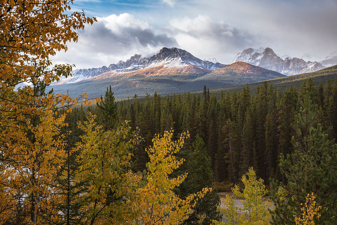 Mountain range at Morant's Curve in autumn foliage, Banff National Park, UNESCO World Heritage Site, Alberta, Rocky Mountains, Canada, North America