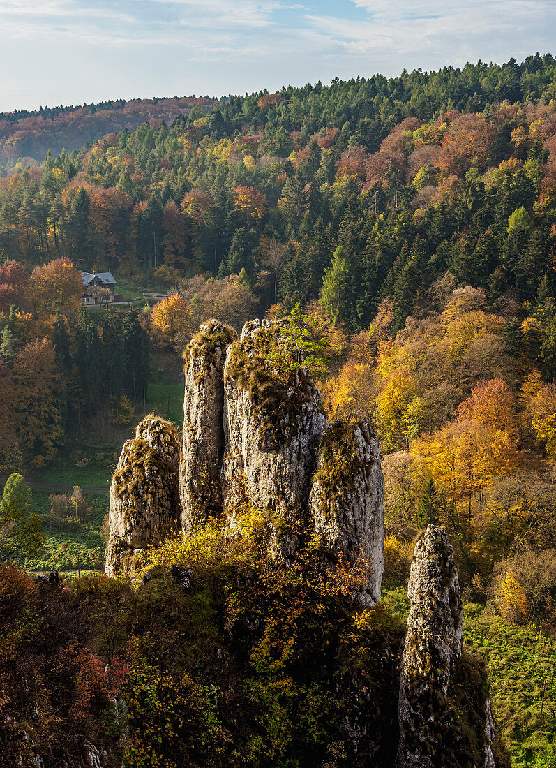 Die Handschuh-Felsformation, Ojcow-Nationalpark, Krakau-Czestochowa-Hochland (polnischer Jura), Woiwodschaft Kleinpolen, Polen, Europa