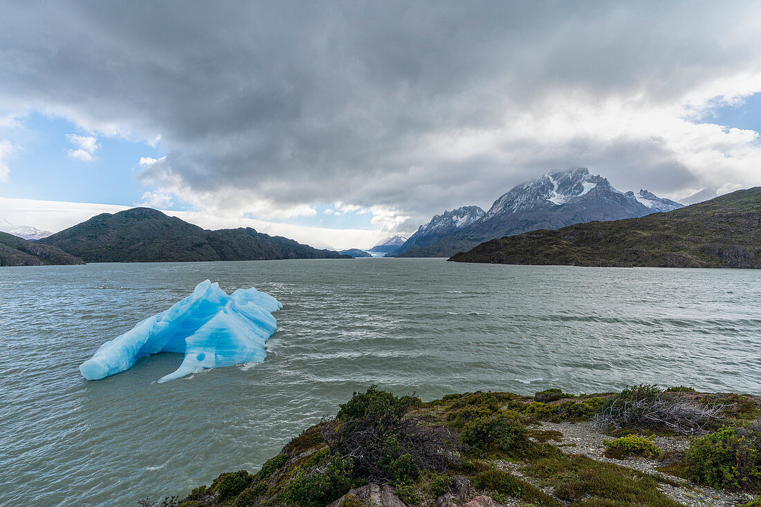 Eisberge auf Lago Grey, mit Cerro Paine Grande und grauem Gletscher im Hintergrund, Nationalpark Torres del Paine, Chile, Südamerika
