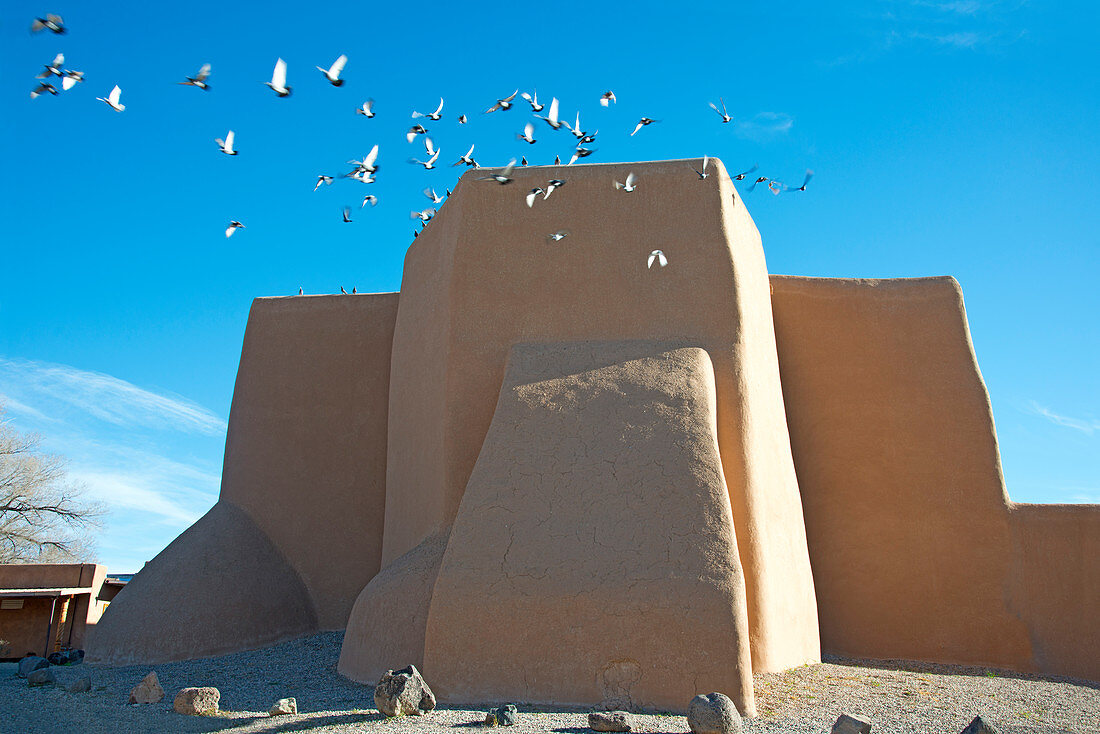 Herde von Tauben, die von der historischen Adobe San Francisco de Asis Kirche in Taos, New Mexico, Vereinigte Staaten von Amerika, Nordamerika fliegen