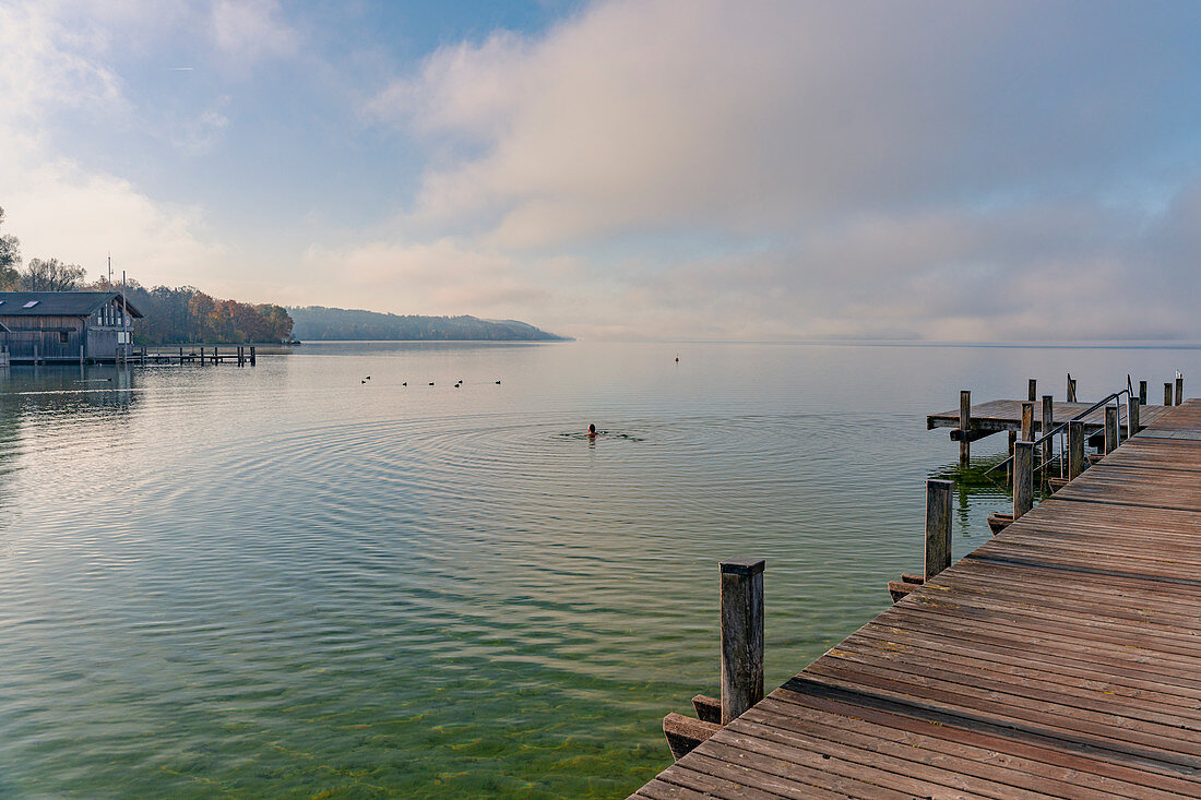 Morgendlicher Blick vom Badesteg am Starnberger See am Badestrand von Percha, Starnberg, Bayern, Deutschland