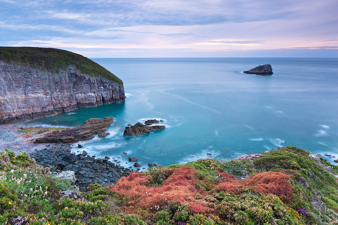 The cliff at Cap Frehel, Brittany, with lush vegetation on a calm summer evening.