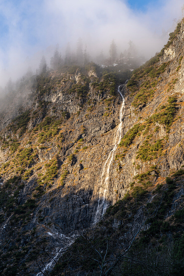 Mountain forest and waterfall near Innsbruck in the morning mist, Upper Bavaria, Bavaria, Germany