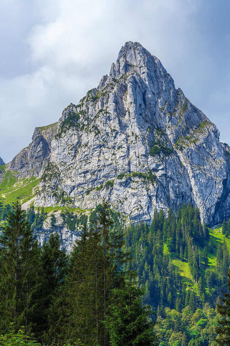 Blick hoch zum Geiselstein, Halblech, Ammergauer Alpen, Bayern, Deutschland