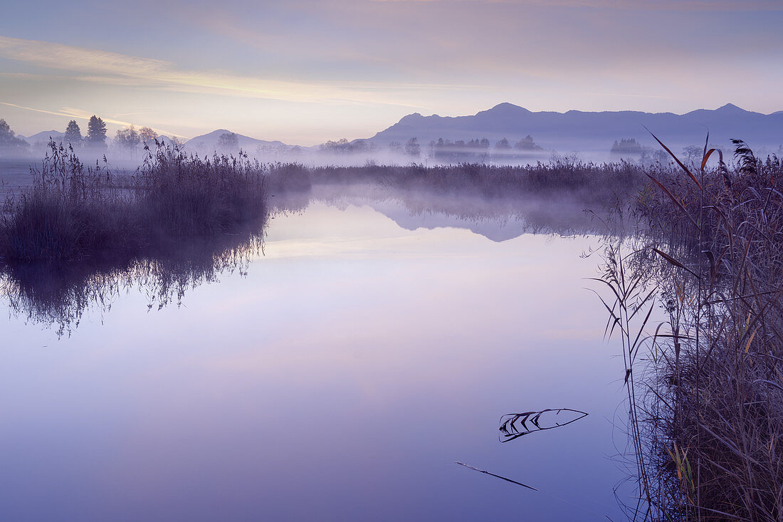 Shortly before sunrise on the Ach, Uffing, Staffelsee, Upper Bavaria, Bavaria, Germany