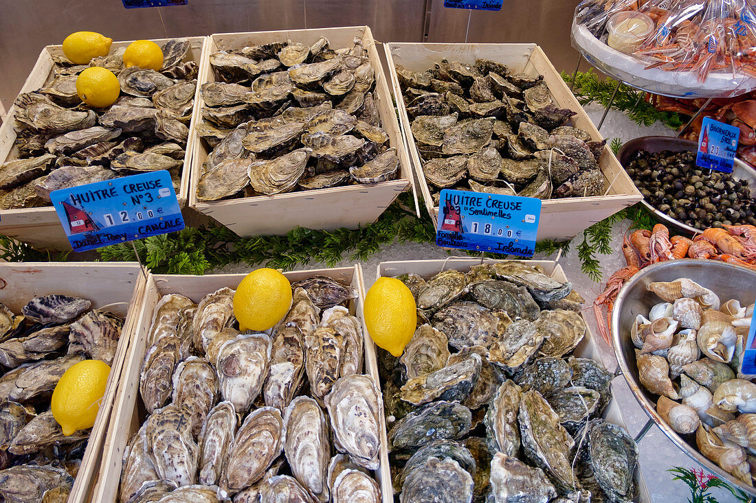 Fresh oysters in Cancale, Brittany, France