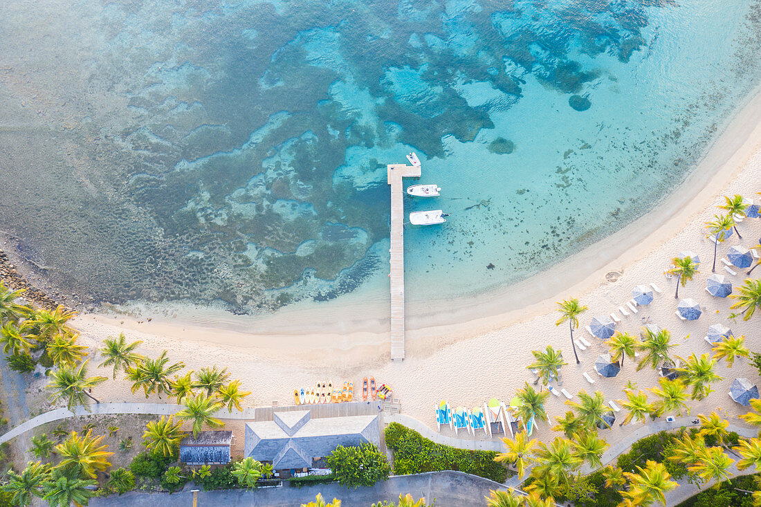 Jetty and sunbeds on palm-fringed beach washed by Caribbean Sea from above by drone, Morris Bay, Old Road, Antigua, Leeward Islands, West Indies, Caribbean, Central America