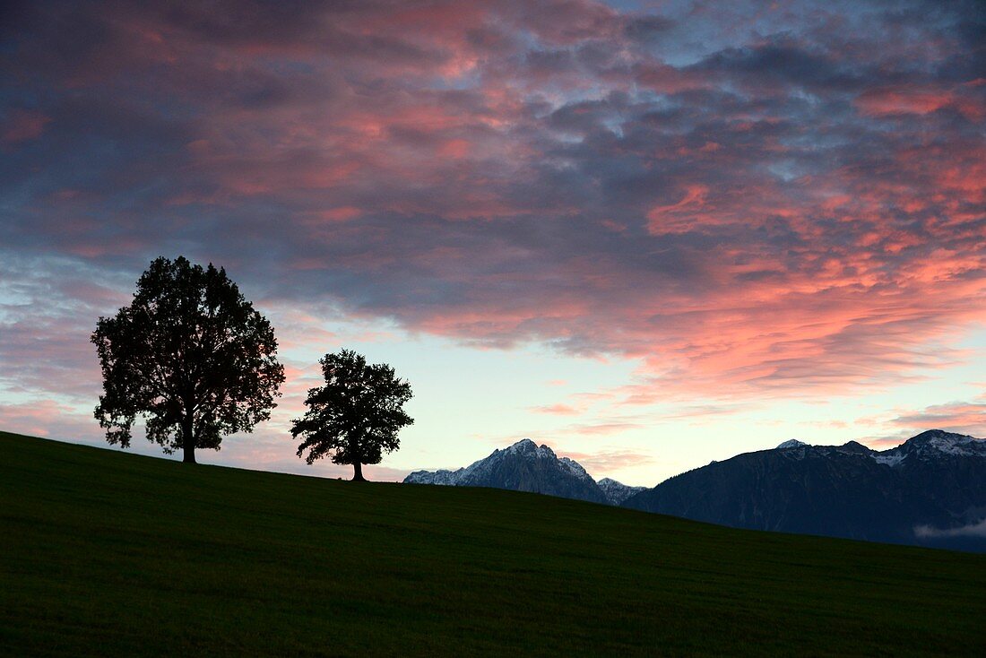 Sonnenuntergang am Hopfensee bei Füssen, Allgäu, Schwaben, Bayern, Deutschland