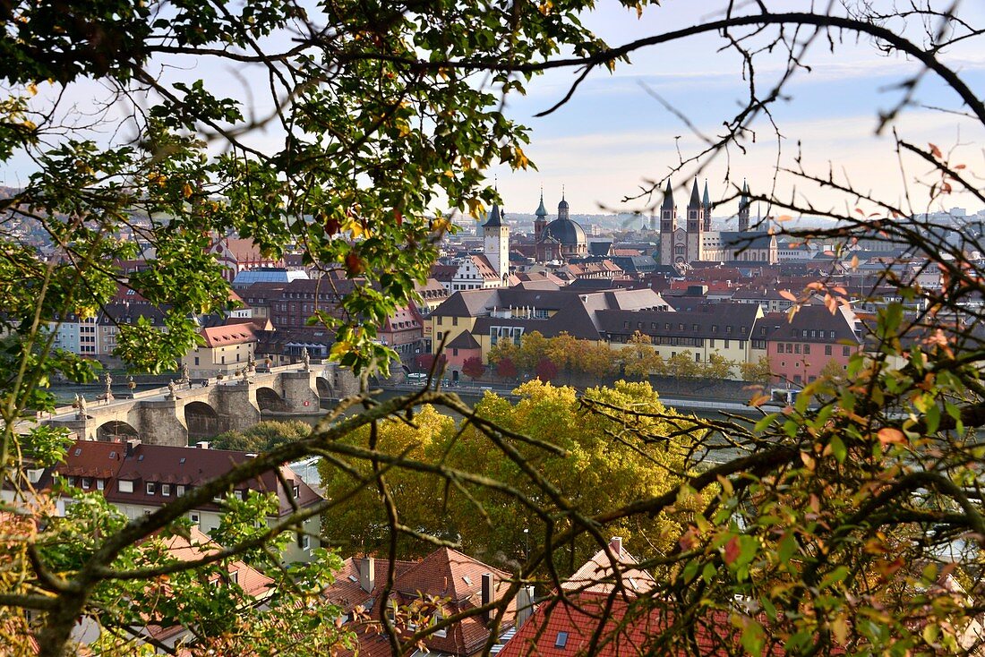 View with vineyard from the fortress on Würzburg, Lower Franconia, Bavaria, Germany