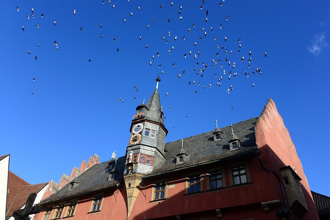 Rathaus von Ochsenfurt am Main, Unter-Franken, Bayern, Deutschland