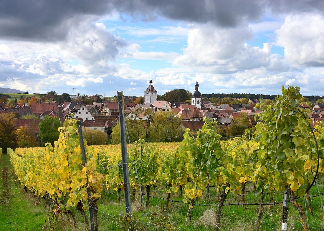 Prichsenstadt mit Weinfeld am Steigerwald, Unter-Franken, Bayern, Deutschland