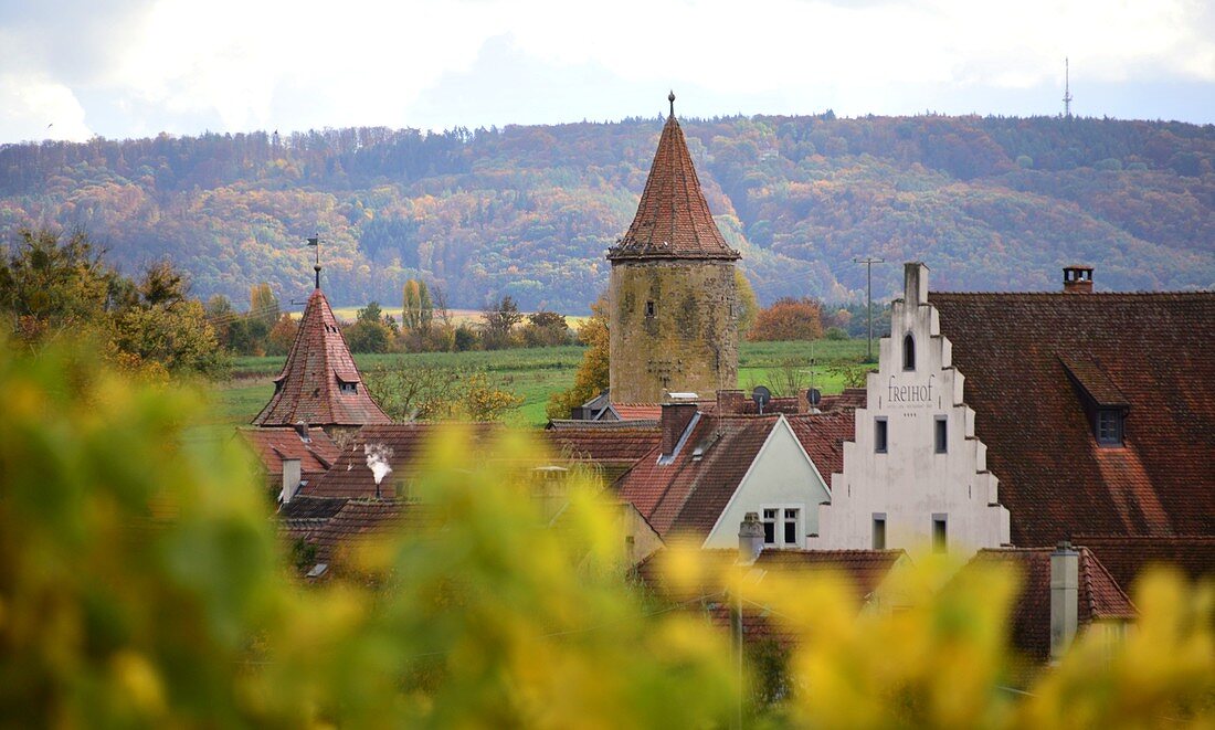 Prichsenstadt mit Weinfeld am Steigerwald, Unter-Franken, Bayern, Deutschland