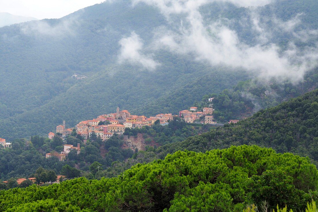 Poggio under Monte Capanne, West Elba, Toscana, Italy