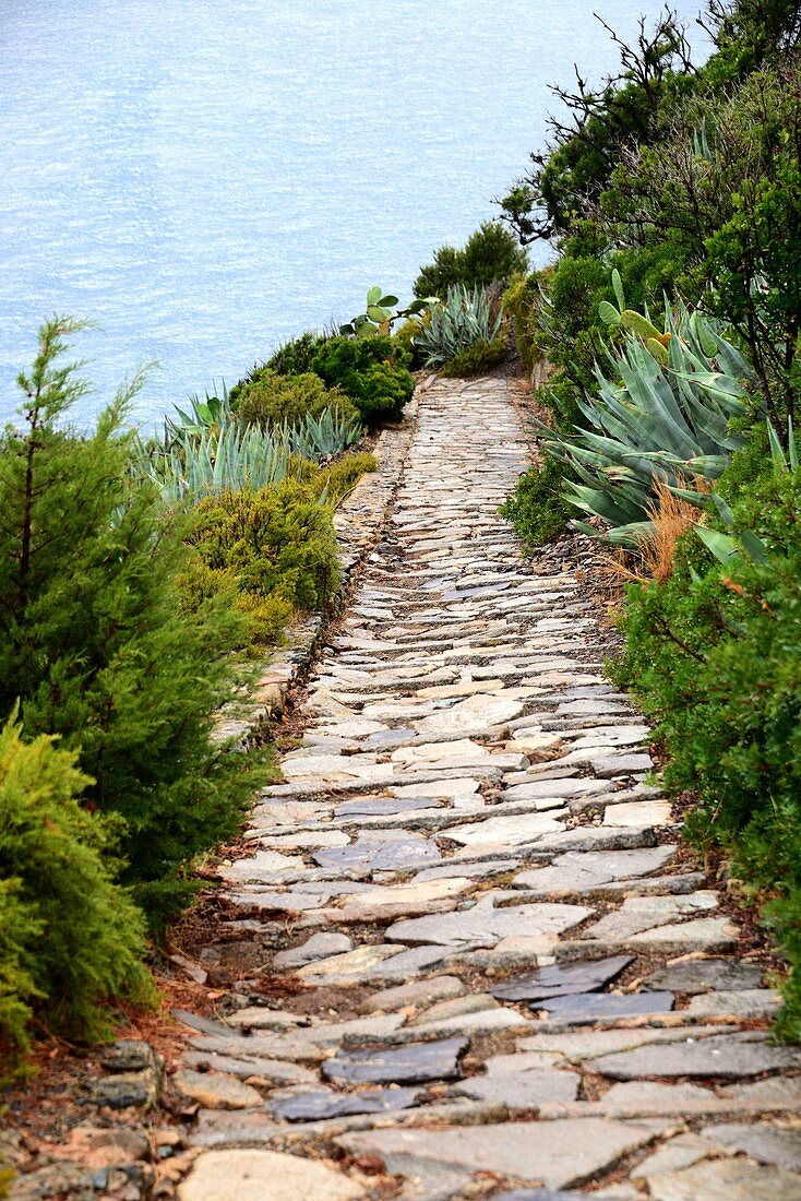 Patresi la Guardia, West Coast, Elba, Toscana, Italy