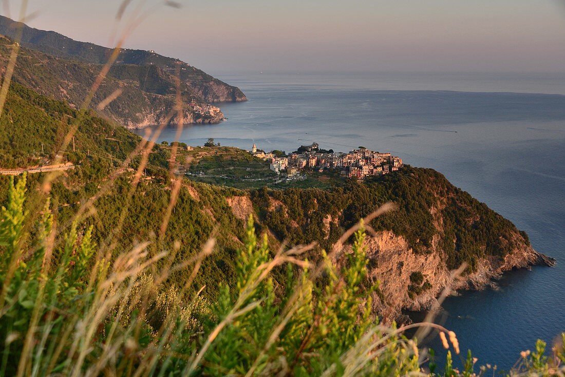 Coast at Corniglia, Cinque Terre, east coast of Liguria, Italy