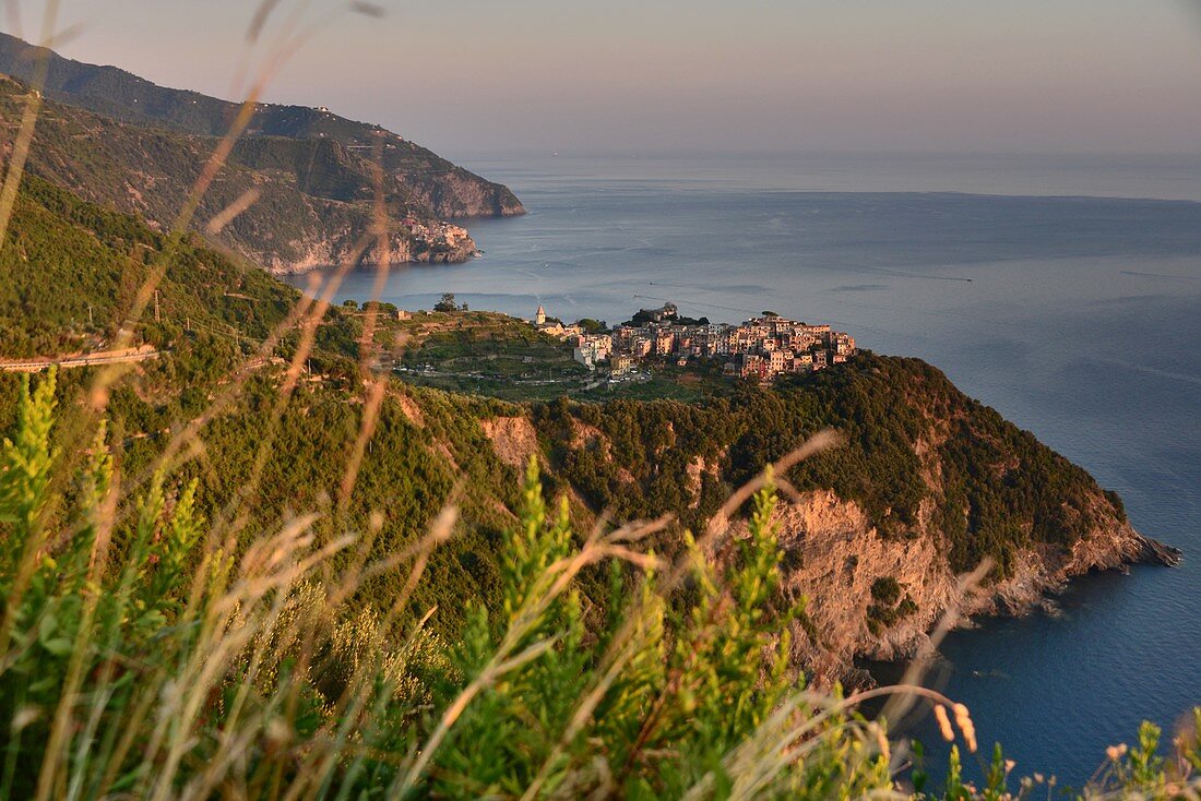 Küste bei Corniglia, Cinque Terre, Ostküste von Ligurien, Italien