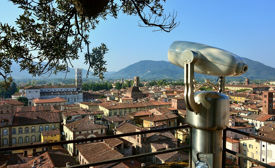 Blick vom Turm des Palazzo Guinigi, Lucca, Toskana, Italien