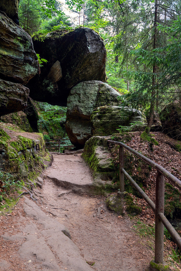 Kamnitz, river, path, hiking trail, Mezni Louka, National Park, Bohemian Switzerland, Czech Republic, Europe