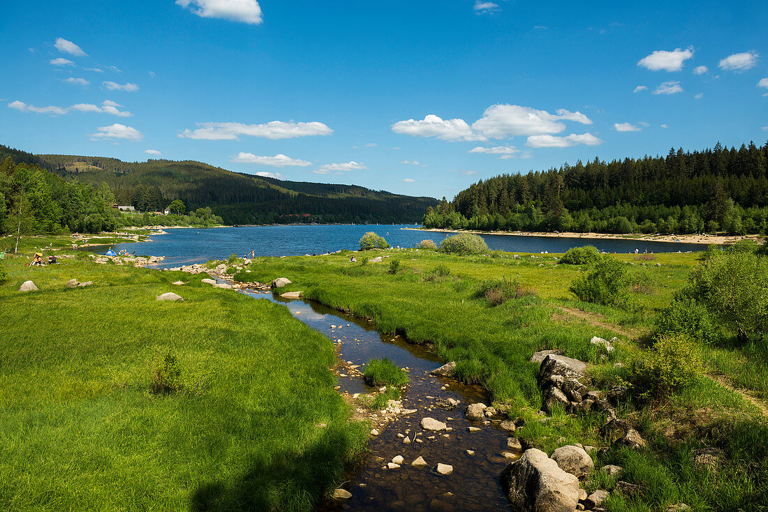 Schluchsee, Southern Black Forest, Black Forest, Baden-Württemberg, Germany