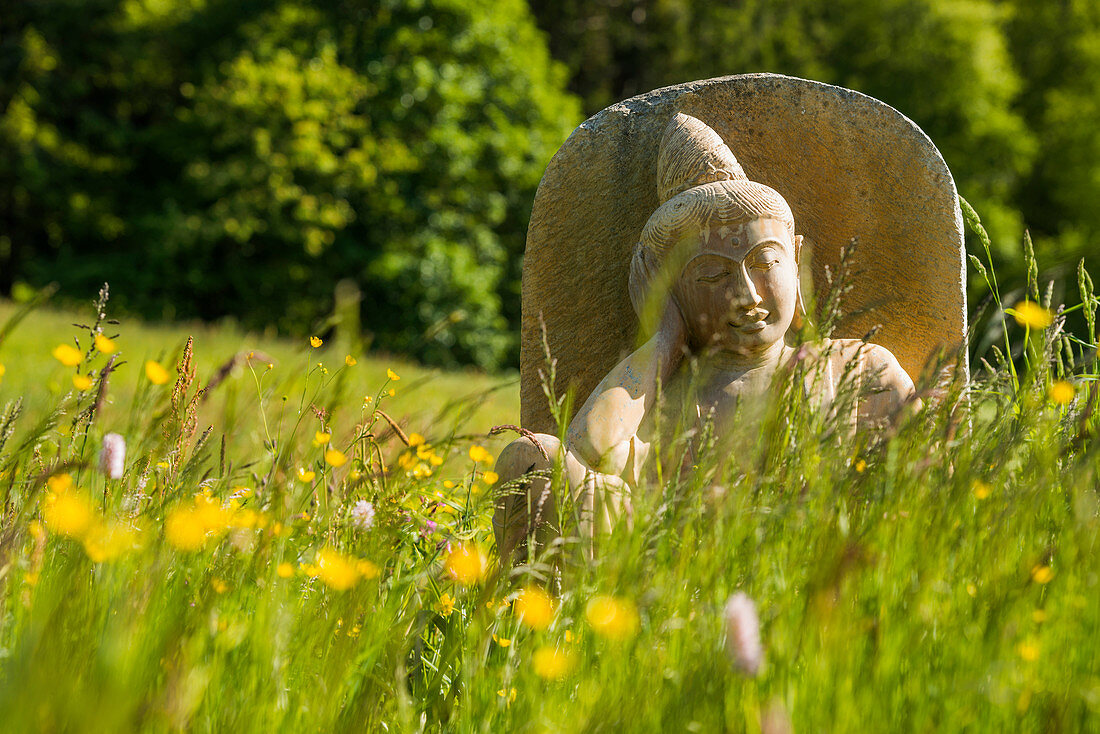 Buddhastatue in Blumenwiese, Schwarzwald, Baden-Württemberg, Deutschland
