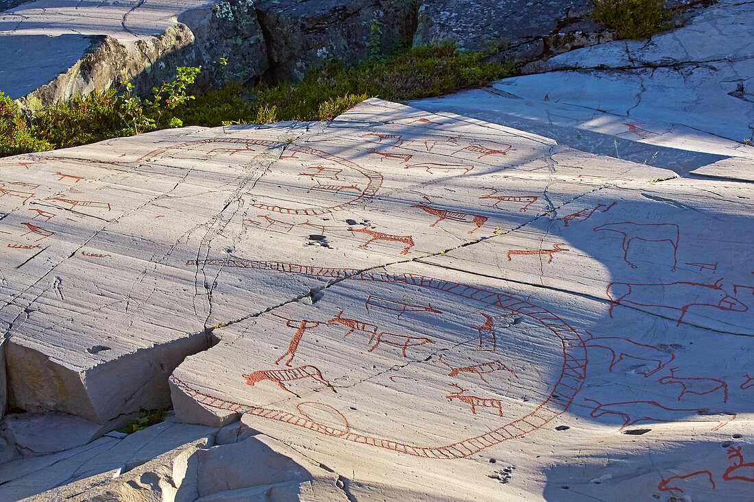 Rock carvings in Alta, UNESCO World Heritage Site, Finmark, Norway, Europe