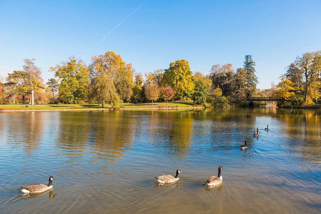 Frankreich, Paris, Bois de Vincennes, Daumesnil See im Herbst