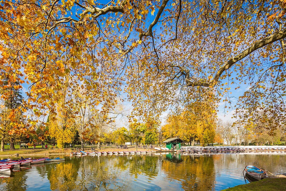 France, Paris, Bois de Vincennes, Daumesnil Lake in autumn