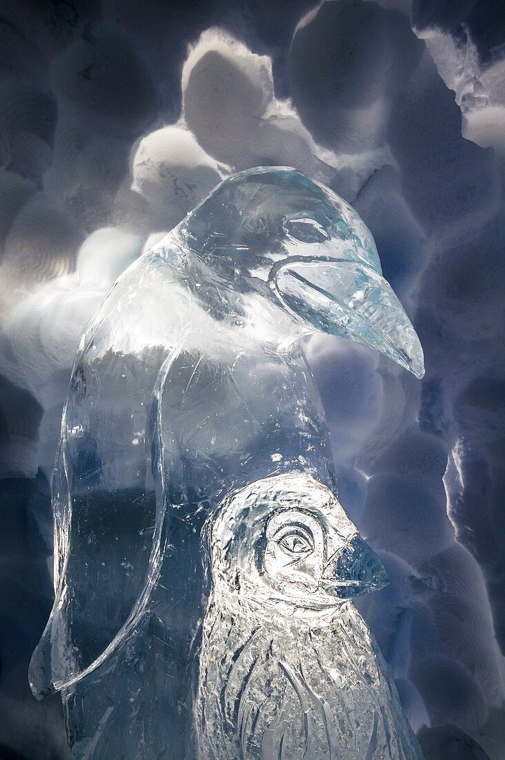 France, Savoie, Tarentaise valley, Vanoise massif, Arcs 2000 ski resort, emperor penguin and its baby carved in a block of ice, for the sculpture gallery of the village-igloo, during the winter season 2017-2018