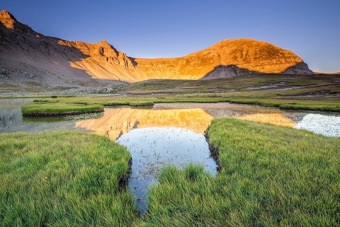 France, Alpes de Haute Provence, National Park of Mercantour, Haut Verdon, Colmar, peat bogs of the plateau of the lake Lignin (2276m), the mountain of Carton (2614m), the pastoral hut of Lignin